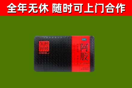 日照回收阿胶